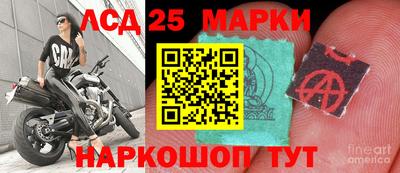 таблы Новодвинск