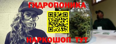 винт Новозыбков